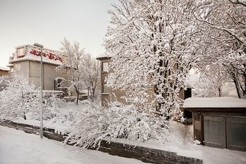 Nordurey Guesthouse Рейк'явік Екстер'єр фото